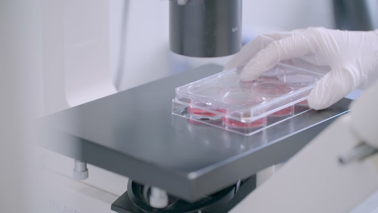 Gloved hand positioning a multiwell sample plate on a microscope platform